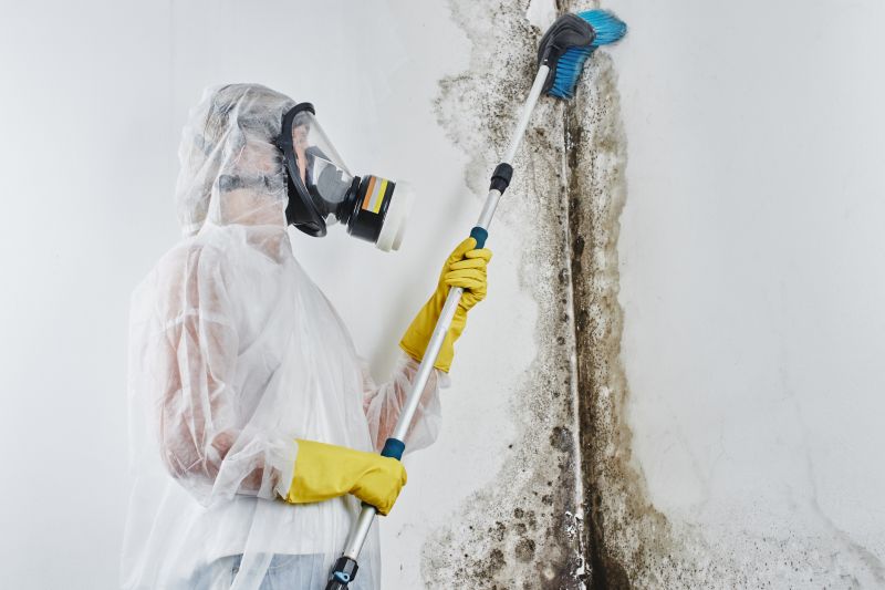 Mold Removal in Dallas, TX