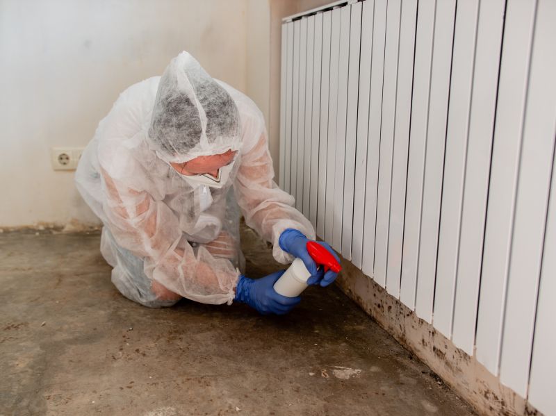 Mold Treatment Service in West Palm Beach, FL