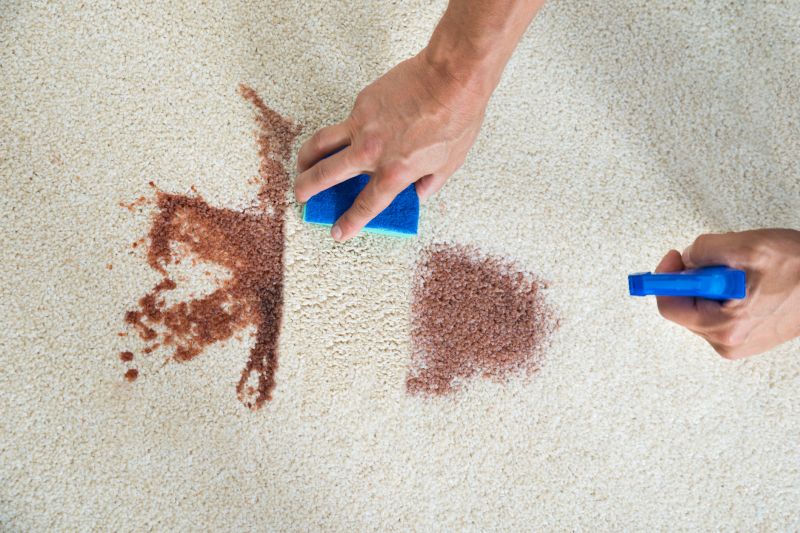 Pet Stain Removal